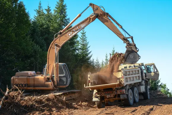 קזינו גולדן קרון תמיכה
